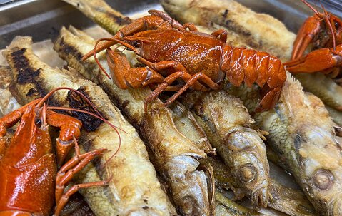 Рыбный фестиваль в наших кафе: море вкуса и океан эмоций!