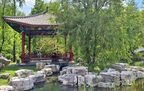 Корпоратив